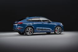 Audi Q6 Sportback e-tron - Image 14 from the photo gallery